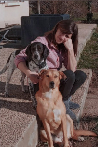 Photo de galerie - Livraison de courses