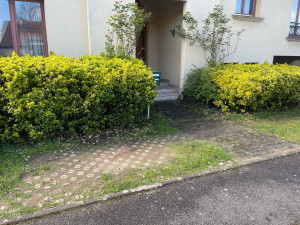 Photo de galerie - Taille de haies et d'arbustes