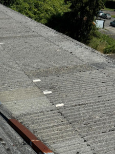 Photo de galerie - Chantier toit en everite a réparé et nettoyer 

réparation effectuée sur le toit 

enlèvement des mousses à la brosse métallique 

produit professionnel qui nettoie et hydrofuge le toit 

fin du chantier 

 nettoyage du chantier 