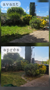 Photo de galerie - Avant / après chez le client. 
tonte, taille de haies, élagage d'un arbuste, taille de buissons et évacuation des déchets verts. 