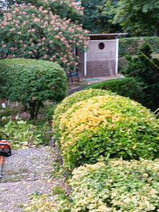 Photo de galerie - Entretien extérieur 
