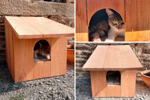 Photo de galerie - Bricolage et multi services