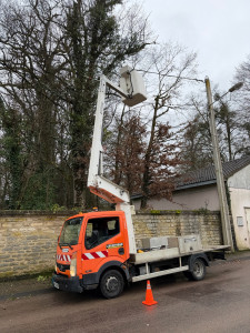 Photo de galerie - Elagage avec nacelle chez un client