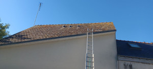 Photo de galerie - Démoussage (avant) 