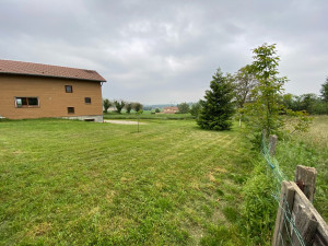 Photo de galerie - .