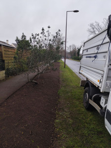 Photo de galerie - Paysagiste - Aménagement du jardin