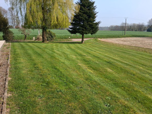 Photo de galerie - Tontes 