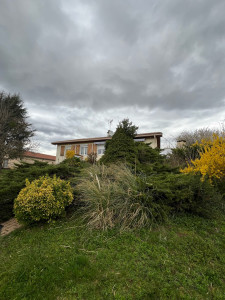 Photo de galerie - Avant la taille du massif