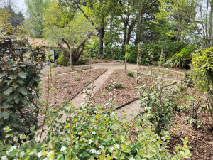 Photo de galerie - Pose de bordures métalliques, apport de paillage et plantations