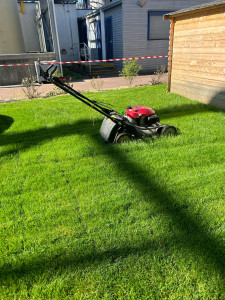 Photo de galerie - Tonte 