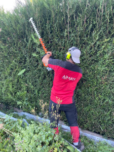 Photo de galerie - Taille de haie