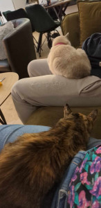 Photo de galerie - Kenza et kali