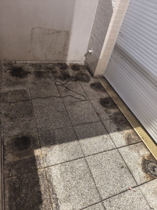 Photo de galerie - *Nettoyage et aménagement de jardin

*Tonte de pelouse

*Taille des arbres et des haies

*Nettoyage haute pression (Karcher)

*Intervention rapide