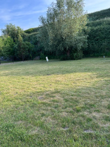 Photo de galerie - Tonte régulière de pelouse 