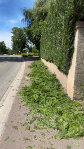 Photo de galerie - Jardinier