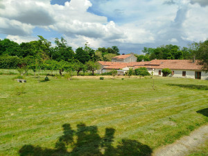 Photo de galerie - Tonte