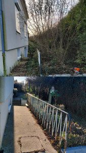 Photo de galerie - Nettoyage de végétation 