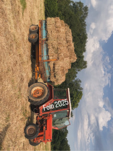 Photo de galerie - Foin