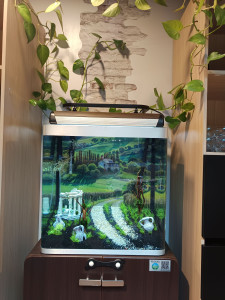 Photo de galerie - Réalisation pour un restaurant de Limoges.
Aquarium d'eau douce,je m'occupe de l'entretien.