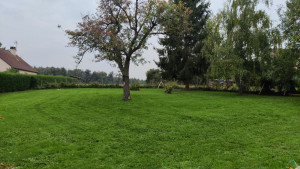 Photo de galerie - Tonte de pelouse