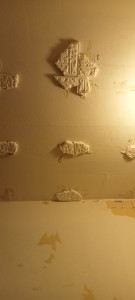 Photo de galerie - Enlèvement des dalles de polystyrène au plafond.
enlèvement de la colle et ponçage 