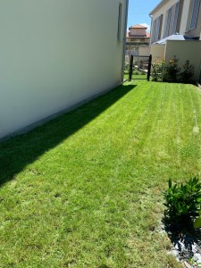 Photo réalisation - Tonte de pelouse - Débroussaillage - Florian G. - Montesquieu-Volvestre : Tonte taille et debrousaillage 
