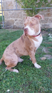 Photo de galerie - En balade