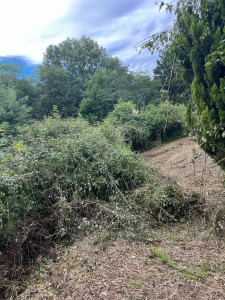 Photo de galerie - Tonte de pelouse - Débroussaillage