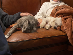 Photo de galerie - Gucci 