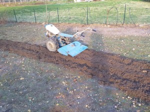 Photo de galerie - Paysagiste - Aménagement du jardin