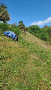 Photo de galerie - Debroussaillage de pentes 

