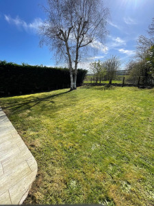 Photo de galerie - Tonte 