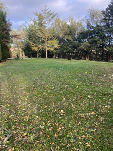 Photo de galerie - Avant tonte de pelouse