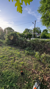 Photo de galerie - Débroussaillage 