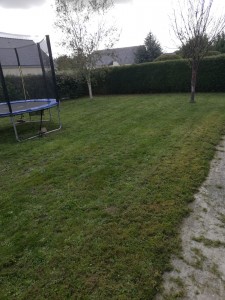 Photo de galerie - Tonte de pelouse - Débroussaillage