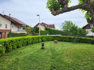 Photo de galerie - Tonte et taille