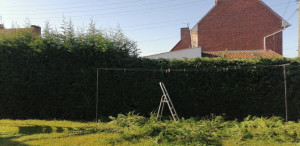 Photo de galerie - Taille de haies et d'arbustes