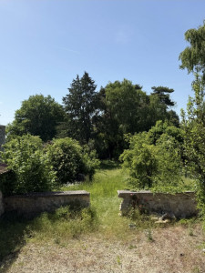 Photo de galerie - Tonte de pelouse - Débroussaillage
