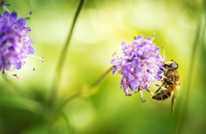 Photo de galerie - Photographie