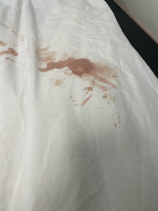 Photo de galerie - Lingerie - Repassage