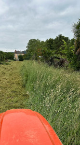 Photo de galerie - Fauchage de parcelle à hautes herbes grâce à un broyeur