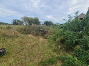 Photo de galerie - Avant débroussaillage 