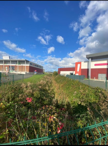 Photo de galerie - Tonte de pelouse - Débroussaillage