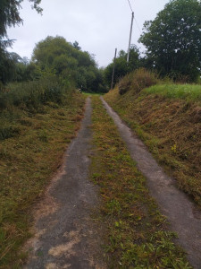 Photo de galerie - Débroussaillage 