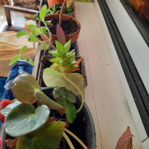 Photo de galerie - Bricolage et multi services