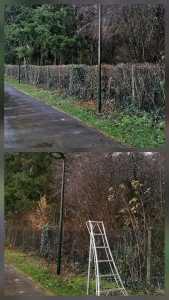 Photo de galerie - 600m de taille