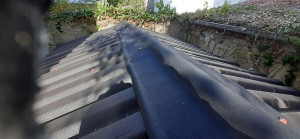 Photo de galerie - Remplacement toit d'abri de jardin 