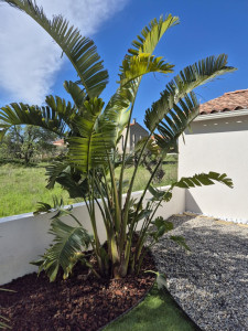 Photo de galerie - Paysagiste - Aménagement du jardin