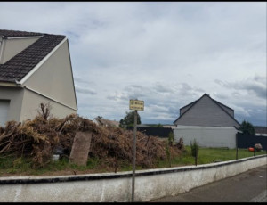 Photo de galerie - Décrassage de branche pour dechetVers
