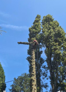 Photo de galerie - Démontage 